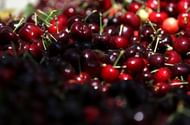 California's Sweet Cherry Harvest Expected To Be Less Than Half Of Last Year's Total, Due To Poor Weather Conditions